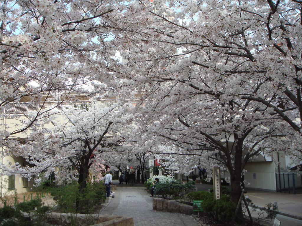 Hotel Wakamizu Такаразука Екстериор снимка